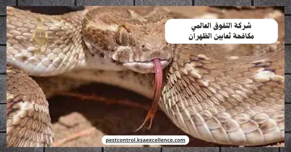 شركة مكافحة ثعابين بالظهران