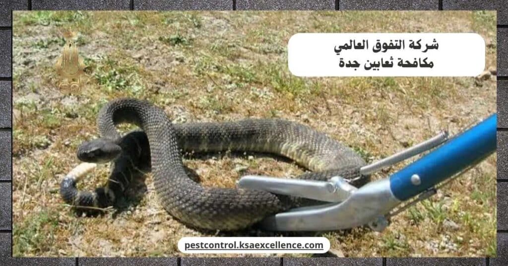 مكافحة ثعابين بجدة