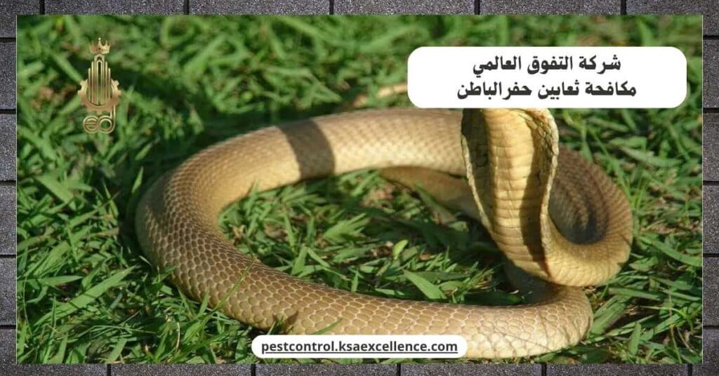 مكافحة ثعابين بحفرالباطن