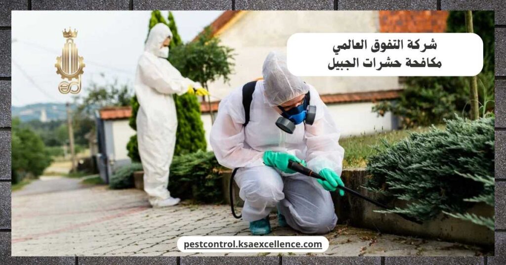 مكافحة حشرات الجبيل