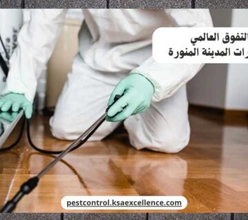 مكافحة حشرات المدينة المنورة