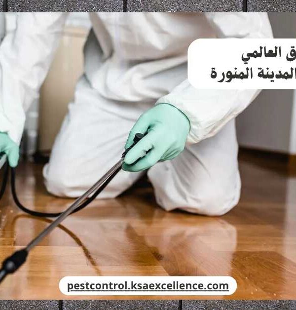 مكافحة حشرات المدينة المنورة