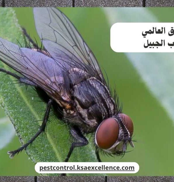 مكافحة ذباب الجبيل