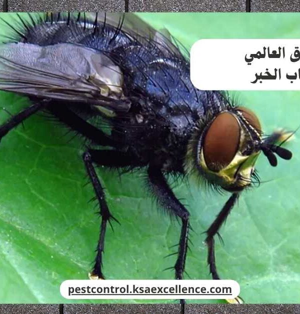 مكافحة ذباب الخبر