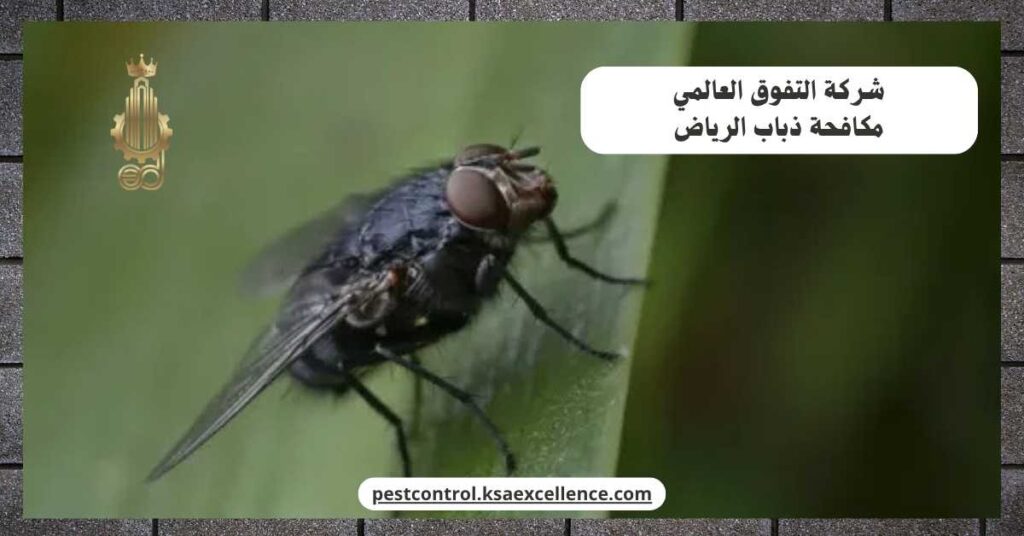 مكافحة ذباب الرياض