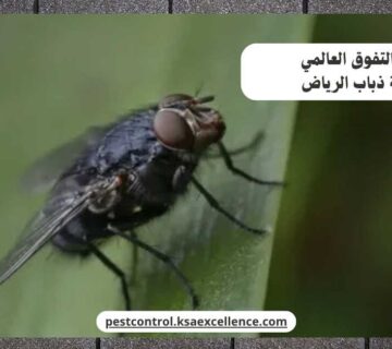 مكافحة ذباب الرياض