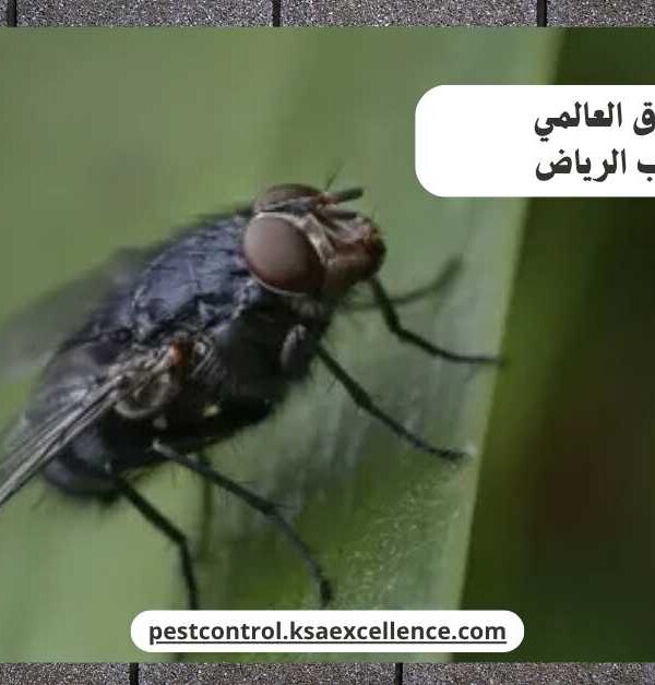 مكافحة ذباب الرياض