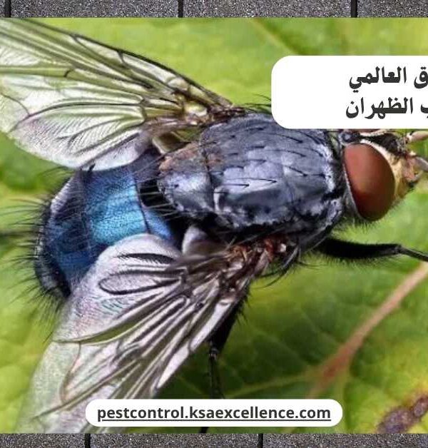 مكافحة ذباب الظهران