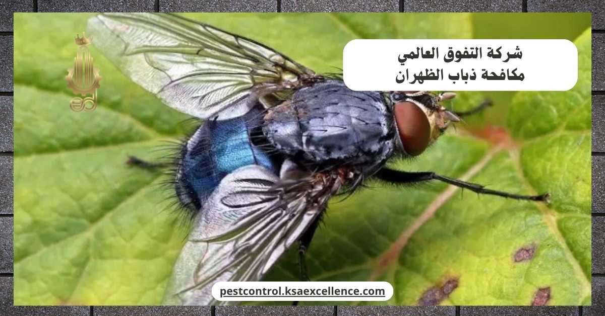 مكافحة ذباب الظهران