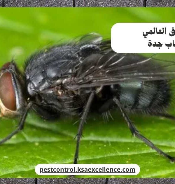 مكافحة ذباب جدة