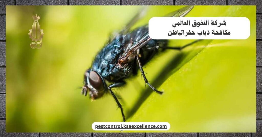 مكافحة ذباب حفرالباطن