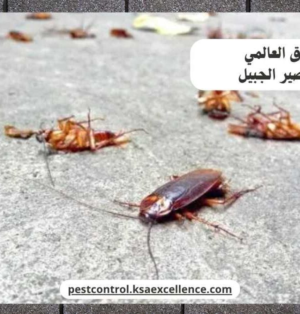 مكافحة صراصير الجبيل