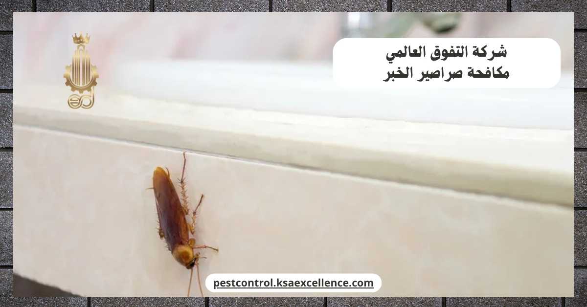 مكافحة صراصير الخبر