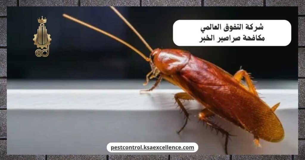 مكافحة صراصير بالخبر