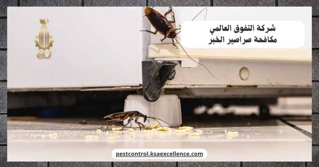 شركة مكافحة صراصير بالخبر