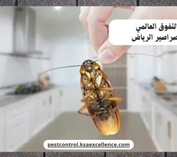 مكافحة صراصير الرياض