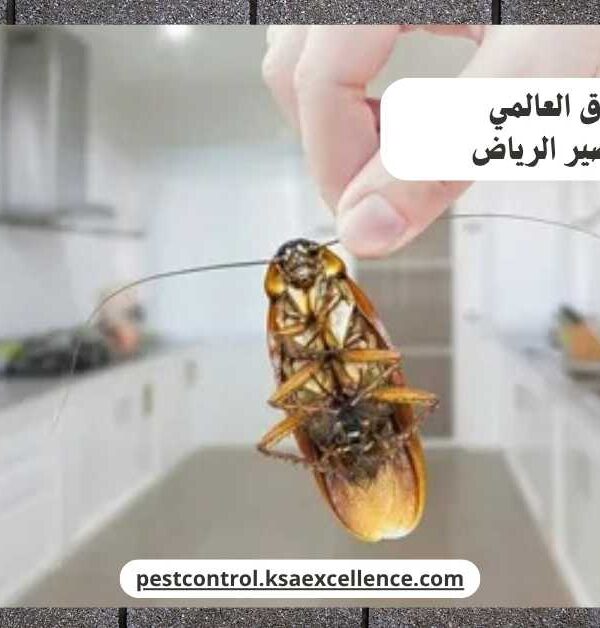 مكافحة صراصير الرياض