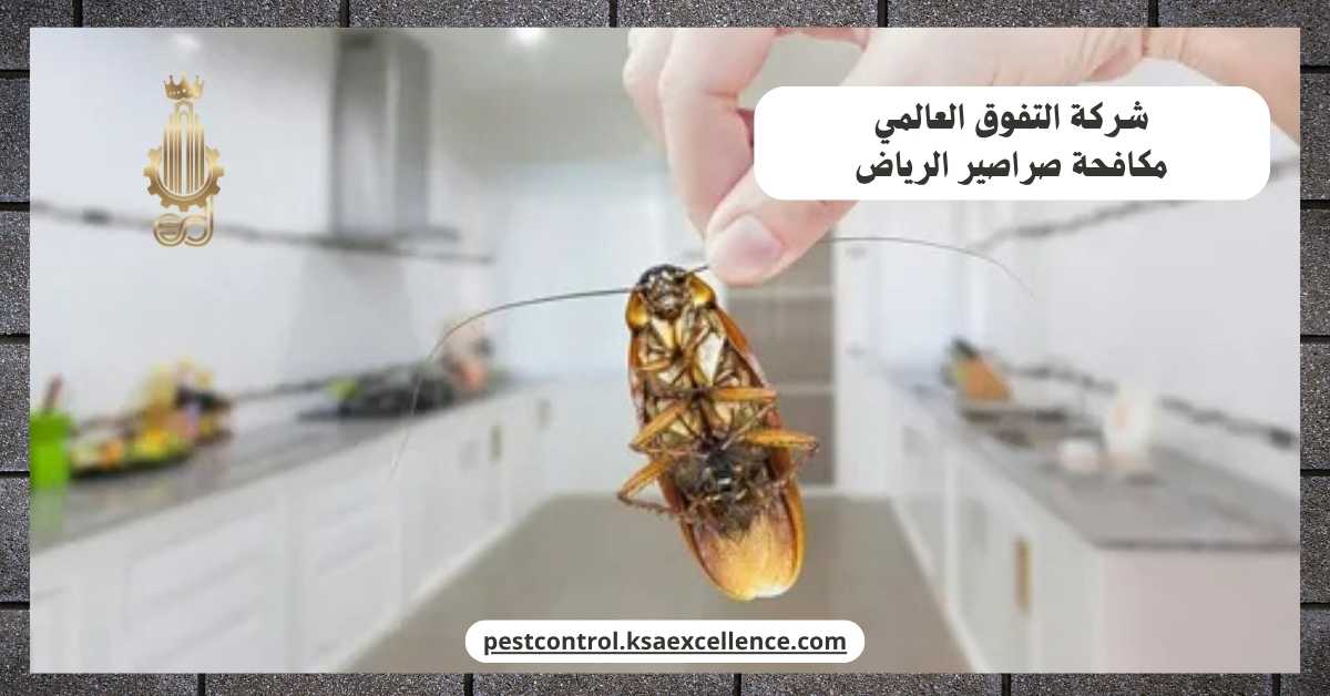 مكافحة صراصير الرياض