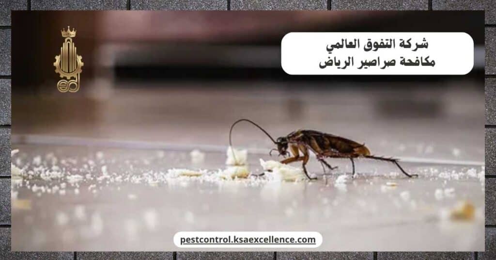 مكافحة صراصير بالرياض