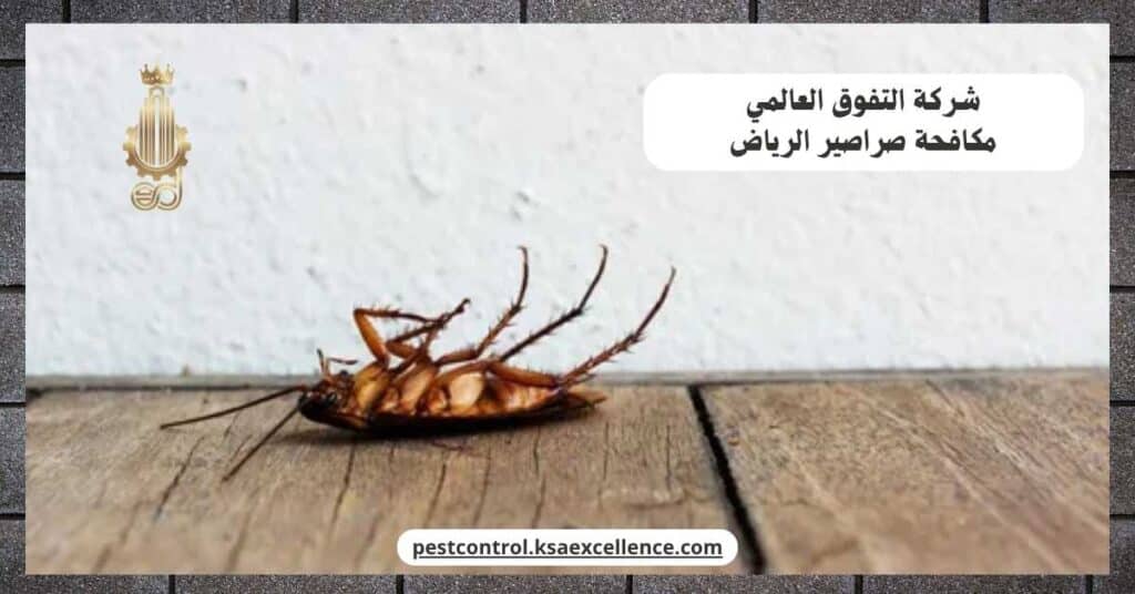 شركة مكافحة صراصير الرياض