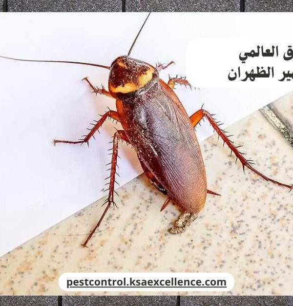 مكافحة صراصير الظهران