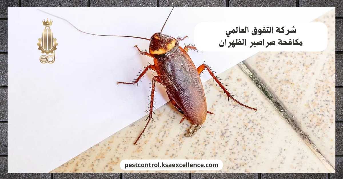 مكافحة صراصير الظهران