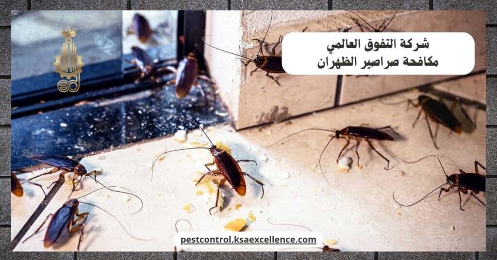 شركة مكافحة صراصير بالظهران