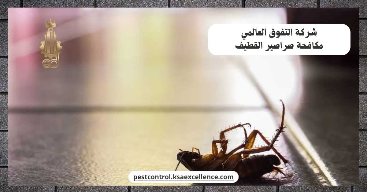 مكافحة صراصير القطيف