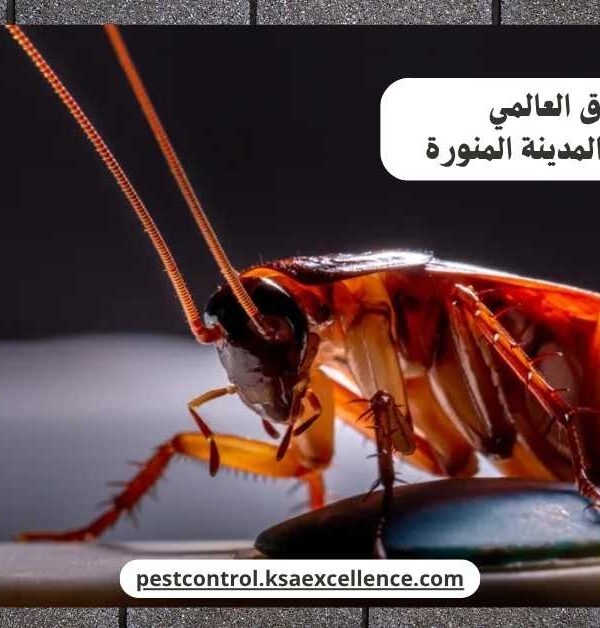 مكافحة صراصير المدينة المنورة