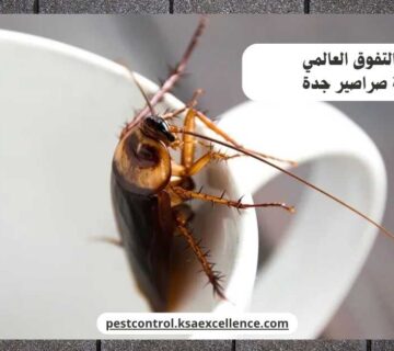 مكافحة صراصير جدة