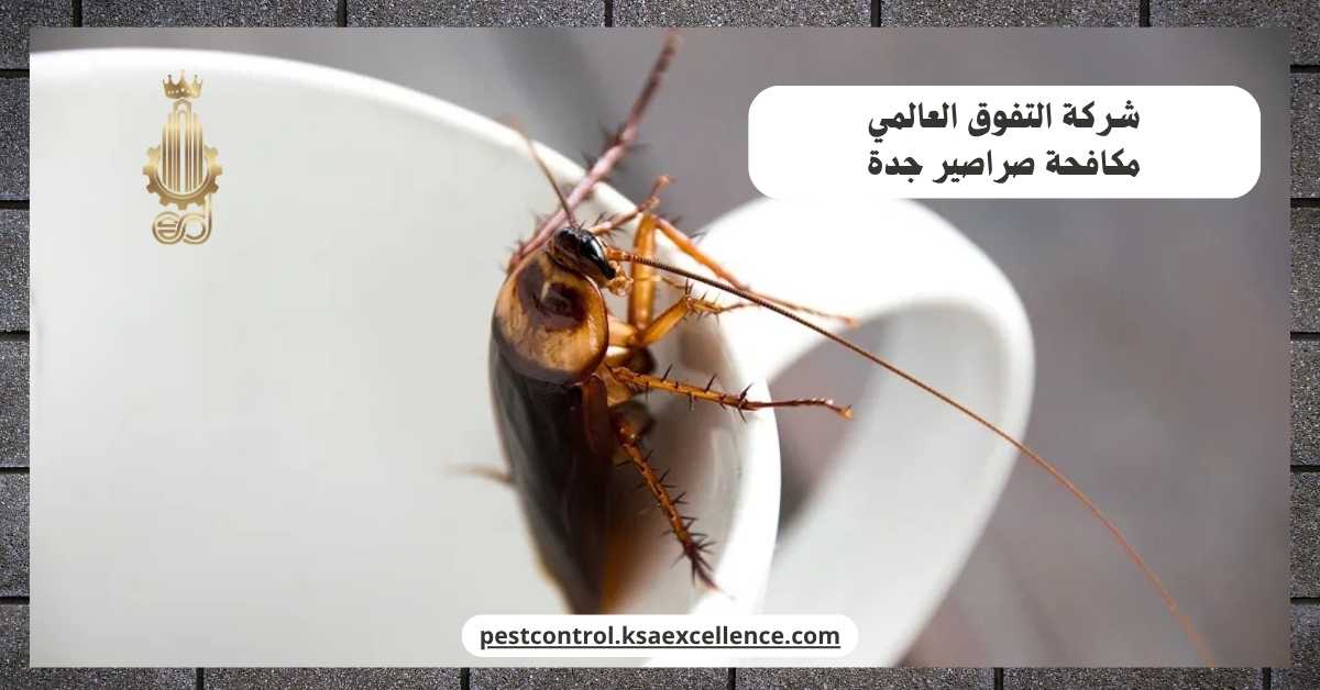 مكافحة صراصير جدة