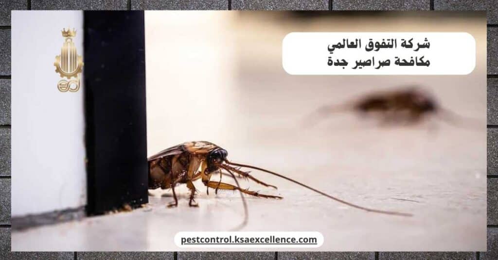 مكافحة صراصير بجدة