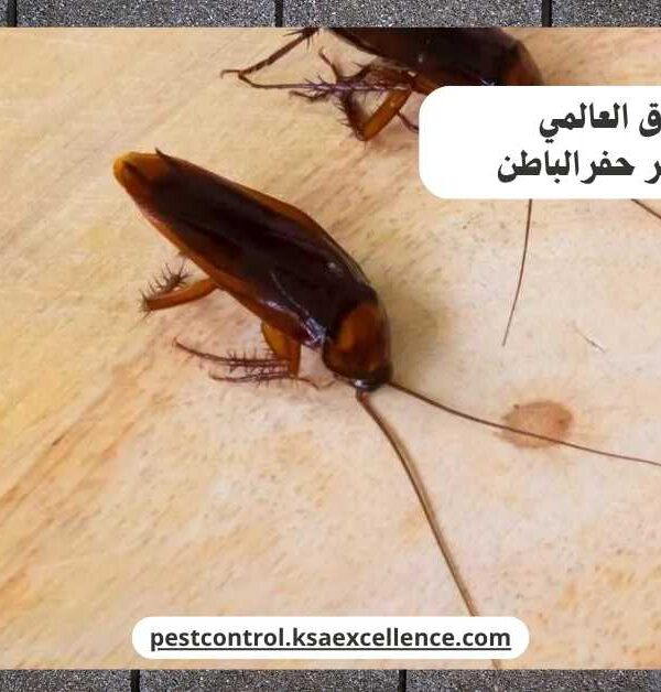 مكافحة صراصير حفرالباطن