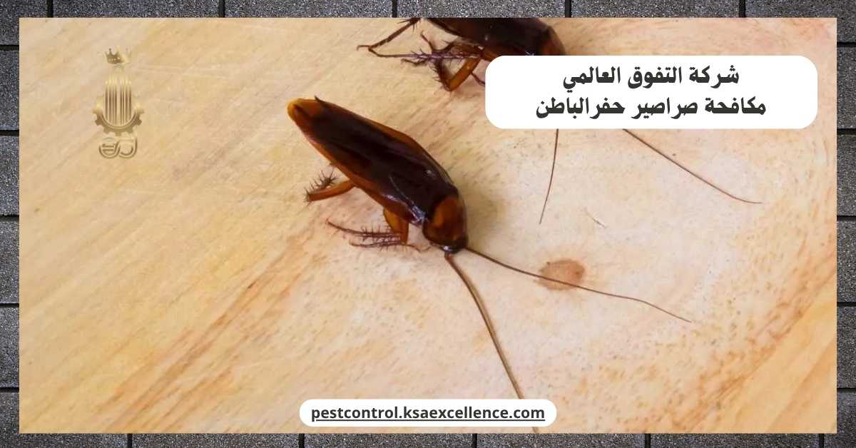 مكافحة صراصير حفرالباطن