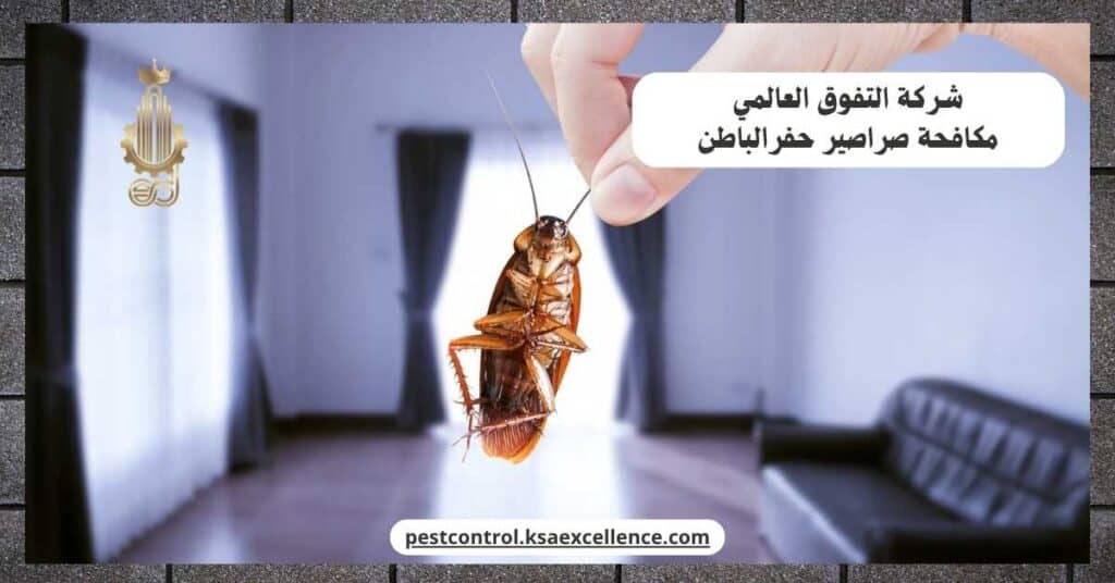 شركة مكافحة صراصير بحفرالباطن