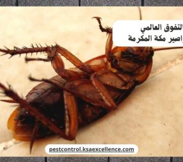 مكافحة صراصير مكة المكرمة