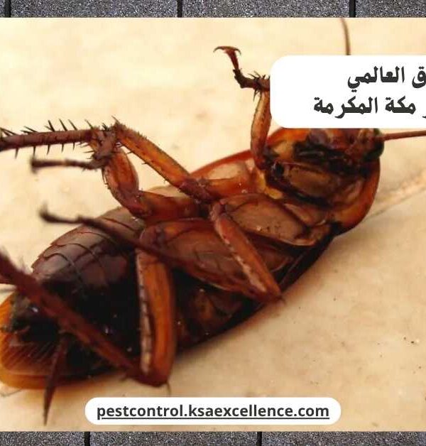 مكافحة صراصير مكة المكرمة