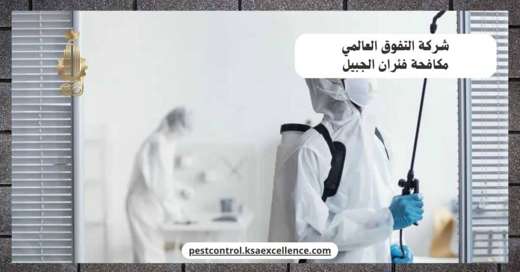 شركة مكافحة فئران بالجبيل