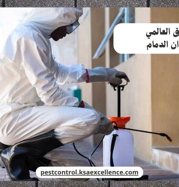 مكافحة فئران الدمام