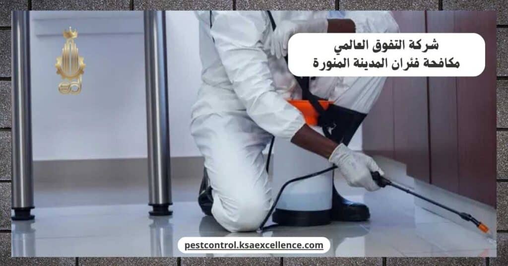 مكافحة فئران بالمدينة المنورة