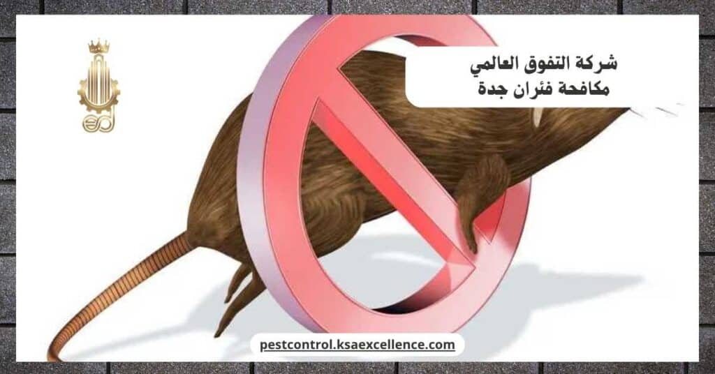 مكافحة فئران بجدة