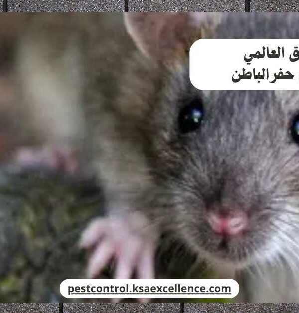 مكافحة فئران حفرالباطن