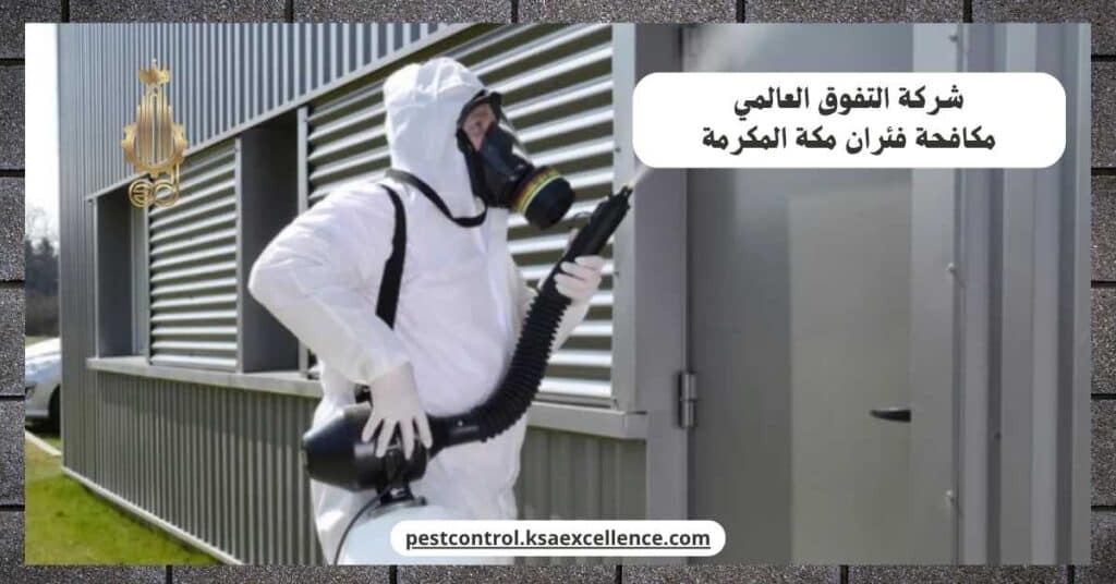 شركة مكافحة فئران بمكة المكرمة