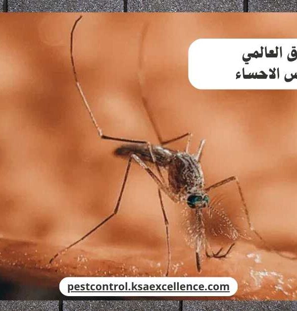 مكافحة ناموس الاحساء