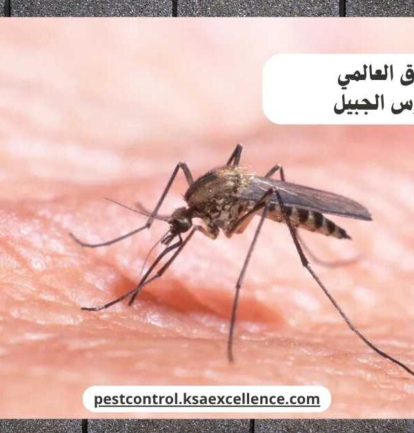 مكافحة ناموس الجبيل