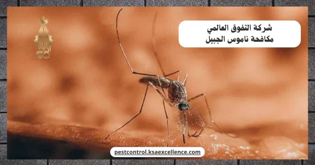 مكافحة ناموس بالجبيل