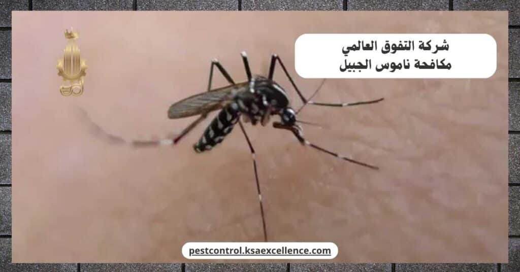 شركة مكافحة ناموس بالجبيل