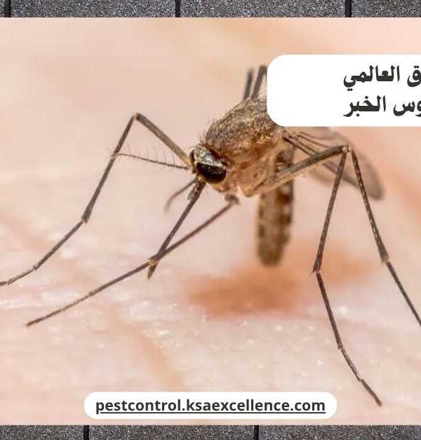 مكافحة ناموس الخبر