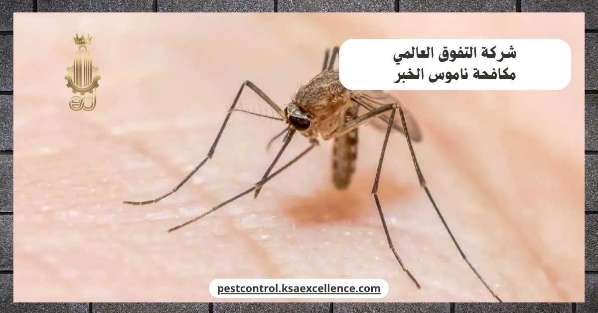 مكافحة ناموس الخبر