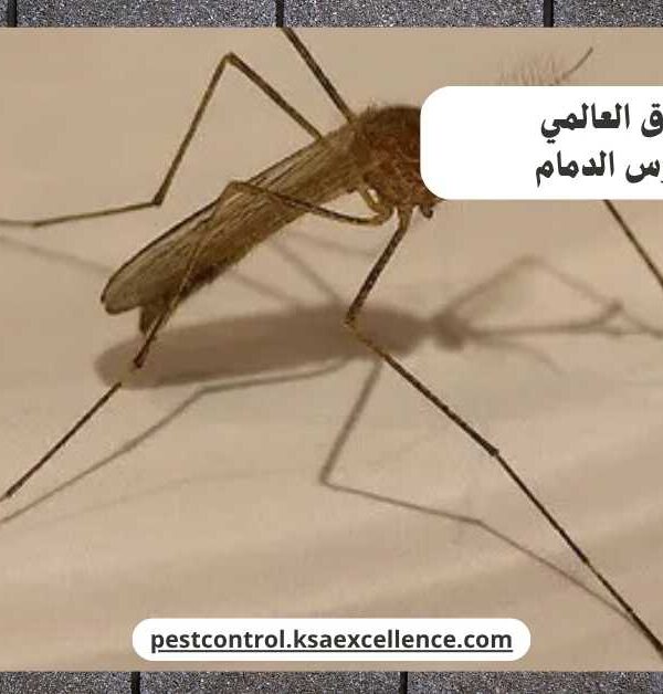 مكافحة ناموس الدمام